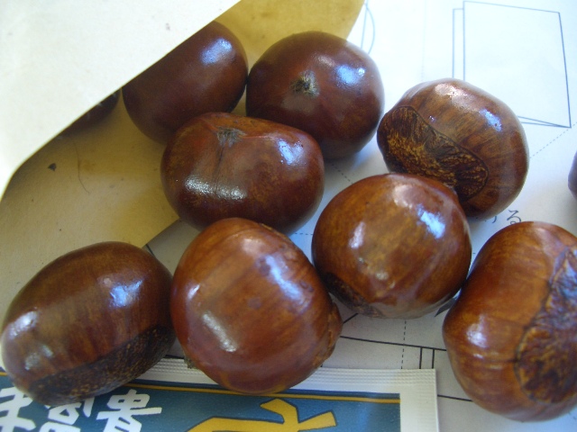 e0033713_15475440.jpg