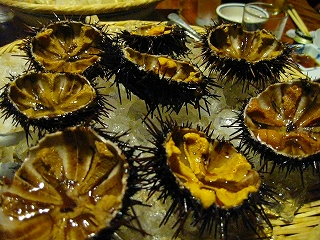 e0170313_8403499.jpg