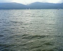 f0130913_8383543.jpg