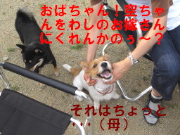 c0185516_9114999.jpg