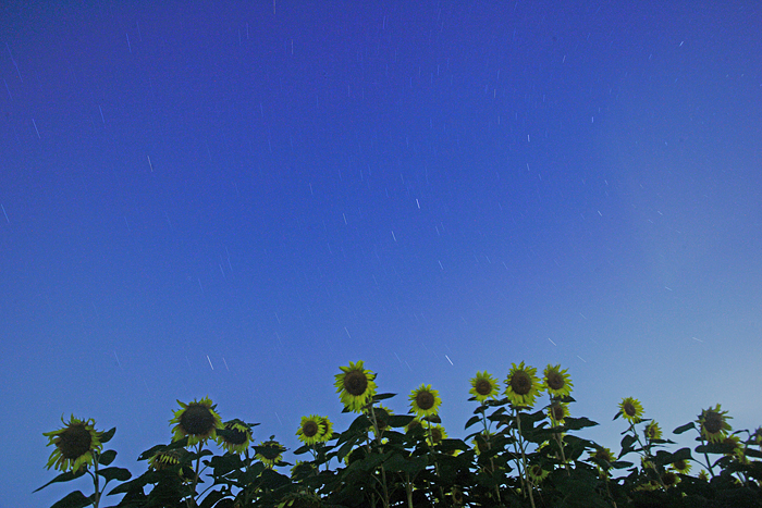 c0030717_18324114.jpg