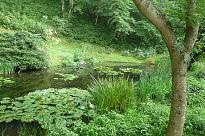 b0167519_14402151.jpg