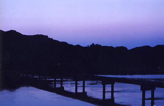 e0190619_4261957.jpg