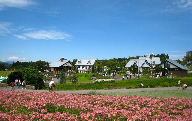 a0084621_16224241.jpg
