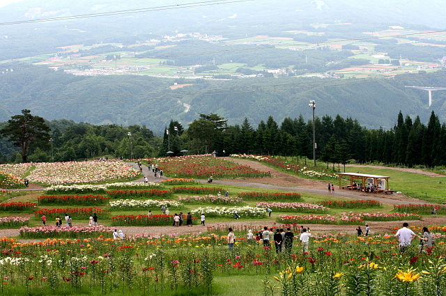 a0084621_16414279.jpg