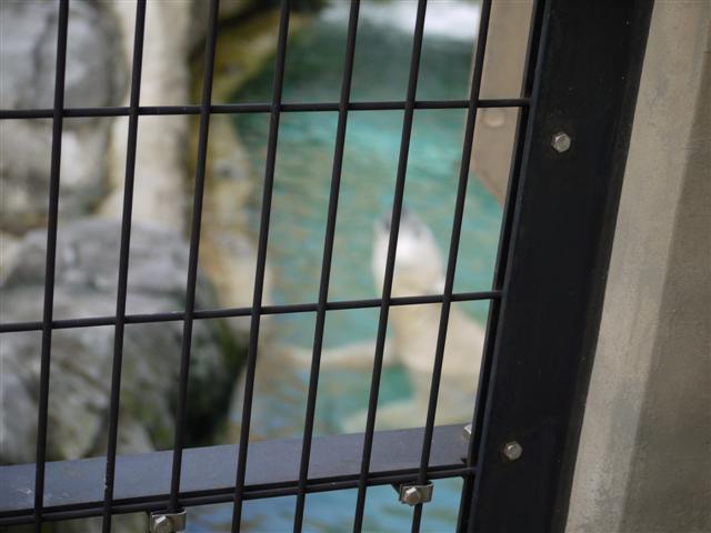 b0171523_14261468.jpg