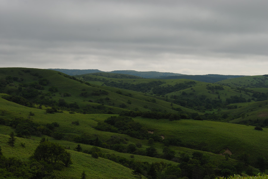 b0146024_23224574.jpg