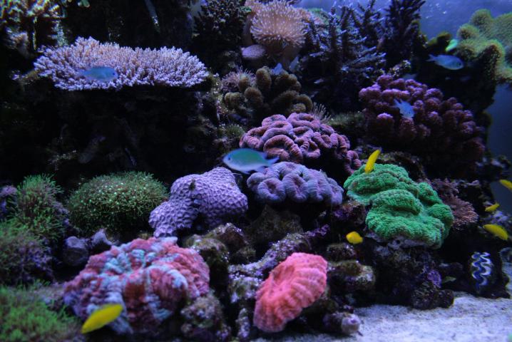 f0055228_1935119.jpg