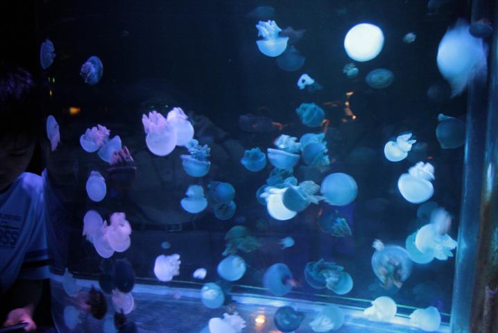 f0055228_1942778.jpg