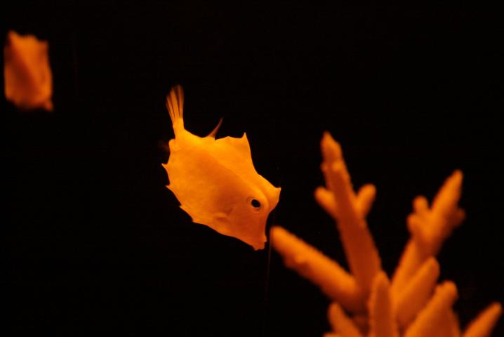 f0055228_1945242.jpg