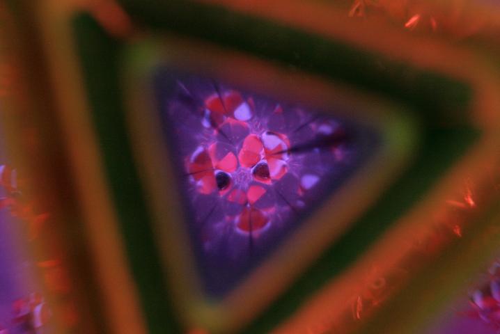 f0055228_197325.jpg
