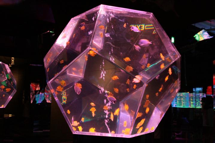 f0055228_1981397.jpg