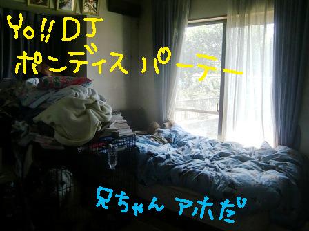 f0176830_1556297.jpg