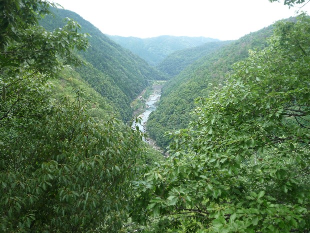 b0136931_21445196.jpg