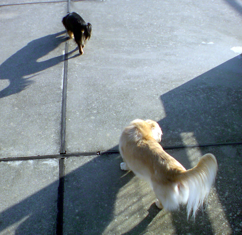 c0117831_21362362.jpg