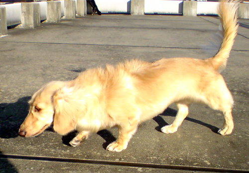 c0117831_21363730.jpg
