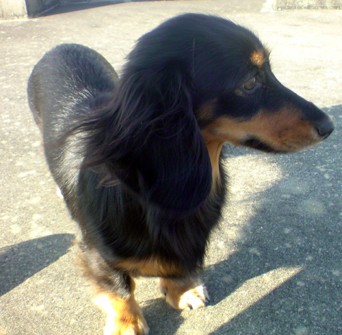 c0117831_21365737.jpg