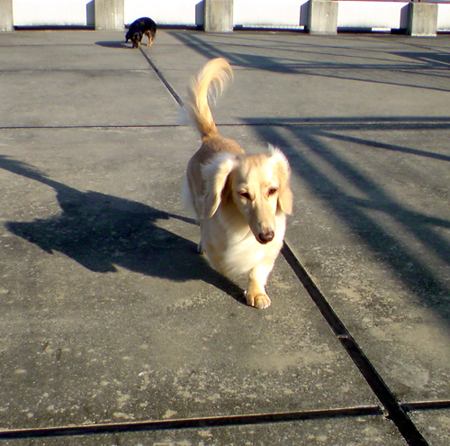 c0117831_21371215.jpg