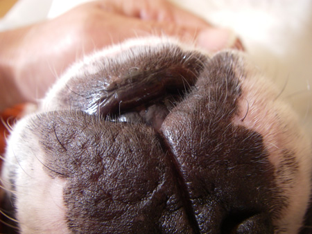 e0008833_1824347.jpg