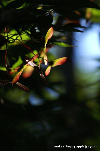 e0165434_22433121.jpg