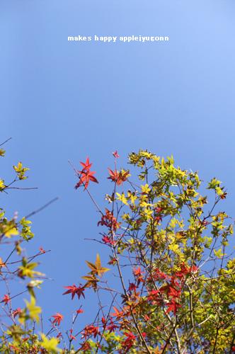 e0165434_2244531.jpg