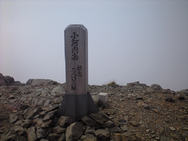 d0107938_12115584.jpg