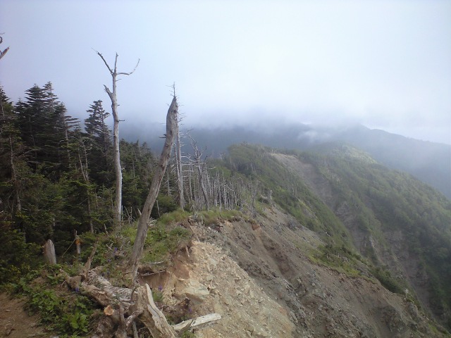d0107938_1215492.jpg