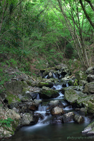e0083238_23433481.jpg