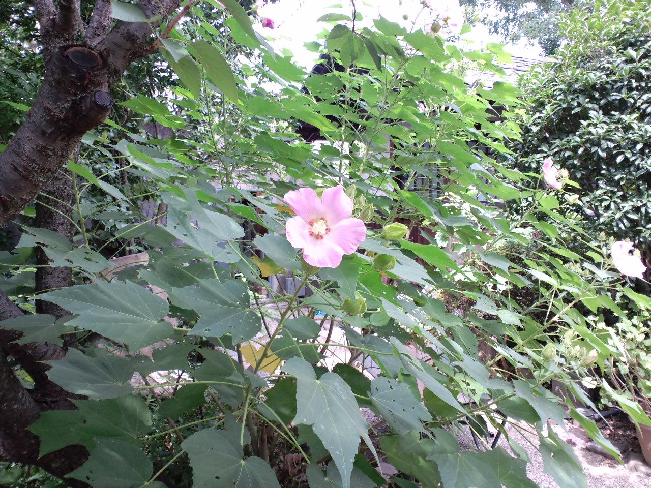 b0076739_0293688.jpg