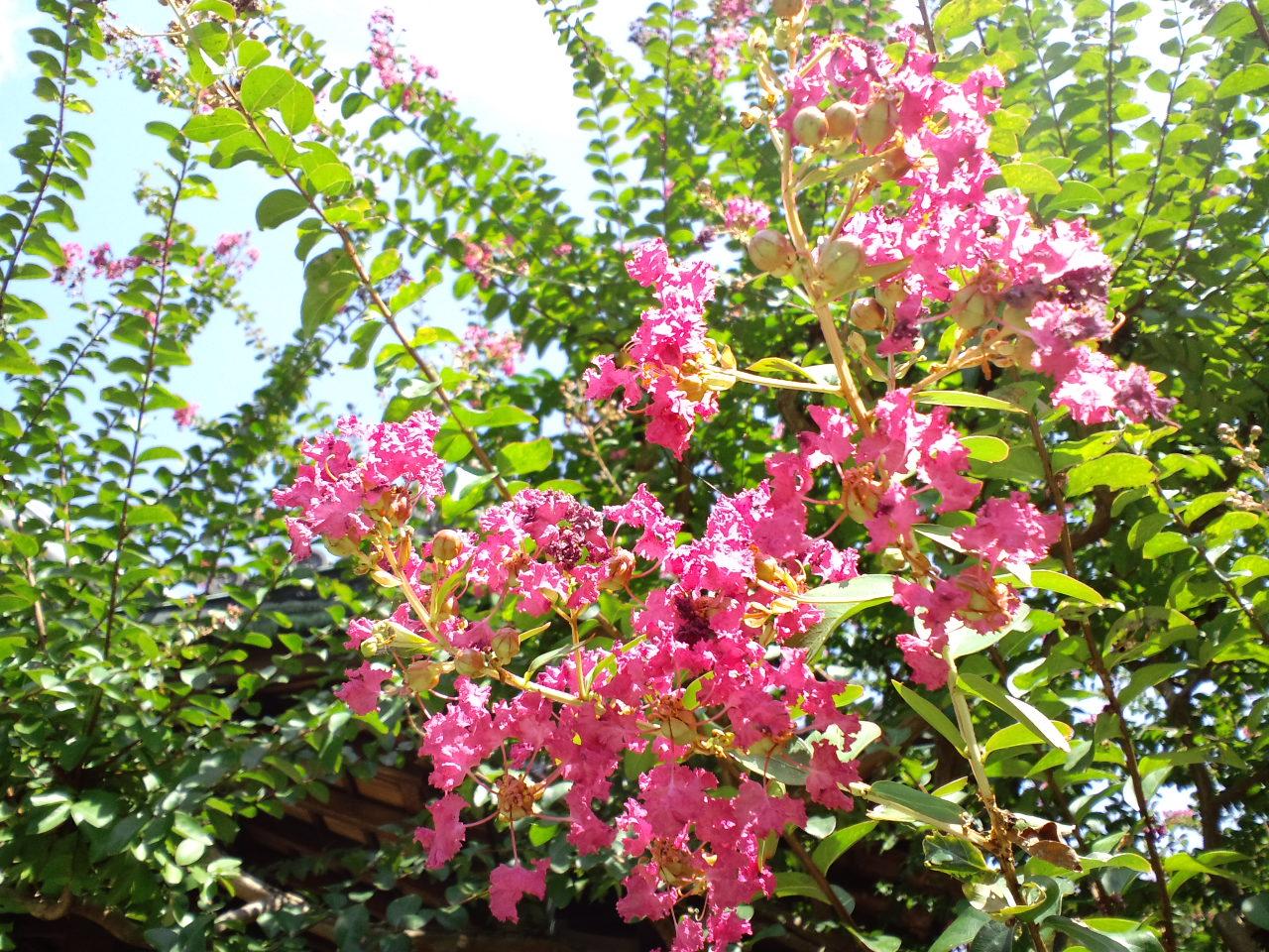 b0076739_0335447.jpg