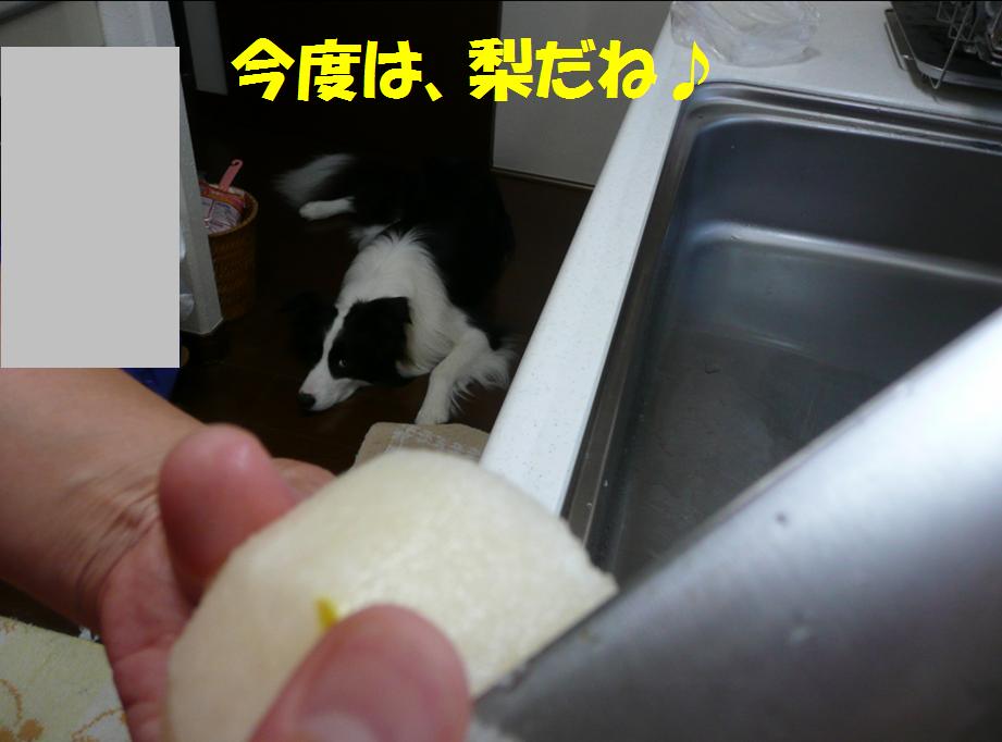 c0147241_0504.jpg