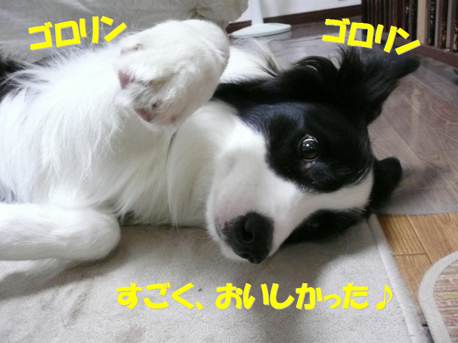 c0147241_052715.jpg