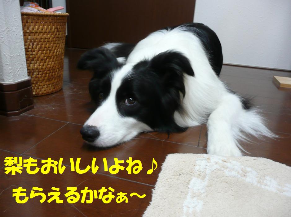 c0147241_05724.jpg