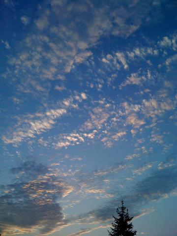 b0189343_853370.jpg
