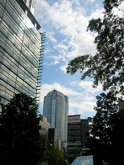 d0039443_14292530.jpg