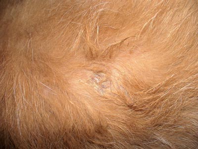 e0023643_22234077.jpg
