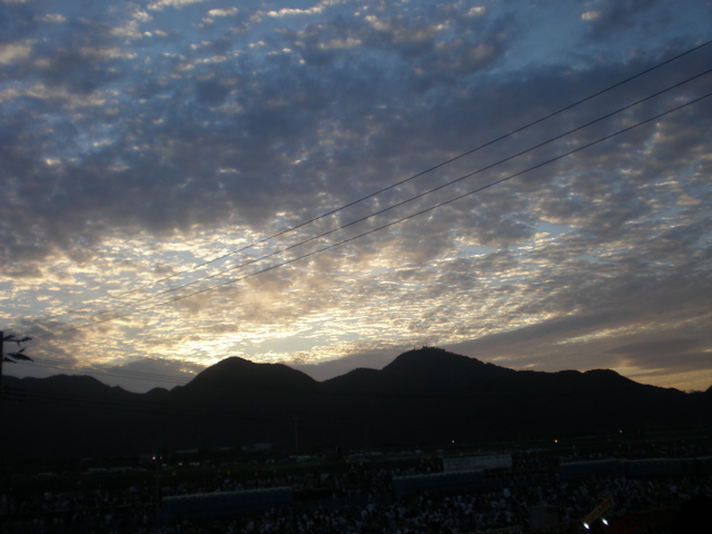 c0153444_7471095.jpg