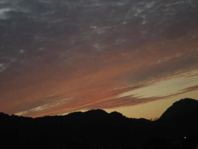 c0153444_747393.jpg