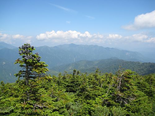 c0042847_19572697.jpg
