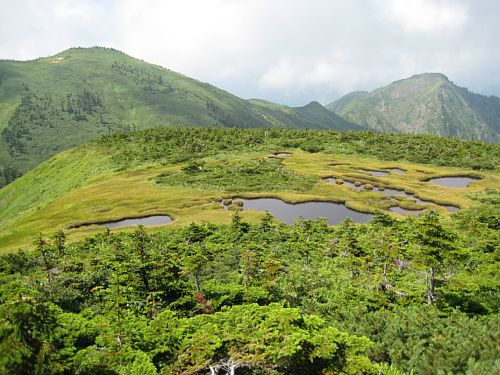 c0042847_20314479.jpg