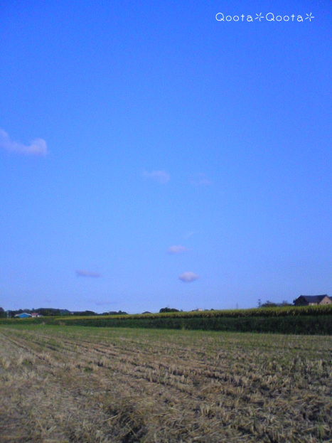 a0116048_12414189.jpg