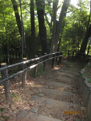 e0121548_2227483.jpg
