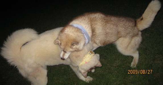 e0121548_2374568.jpg