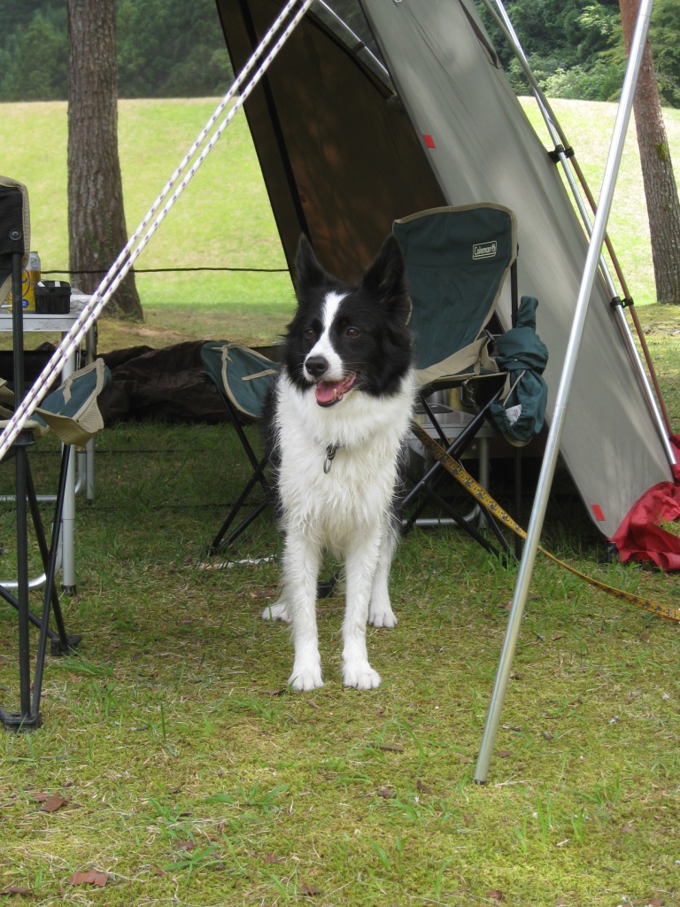 f0175449_22534669.jpg