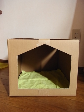 c0003752_23504951.jpg