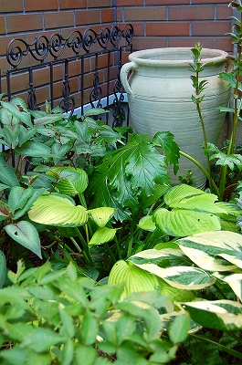 e0025655_616570.jpg