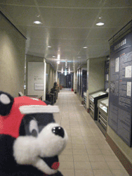 b0159557_1714330.gif