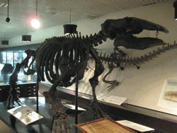 b0159557_17251656.gif