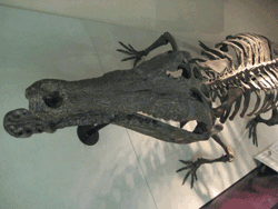 b0159557_1725450.gif