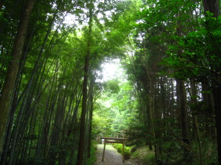 b0160957_1441298.jpg